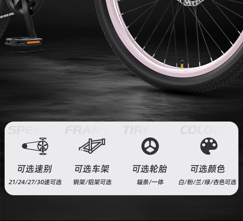 Mountaineering Bike Adult Female Variable Speed Youth Highway Campus Shock Absorber Bike 24 inch Male Junior High School Student