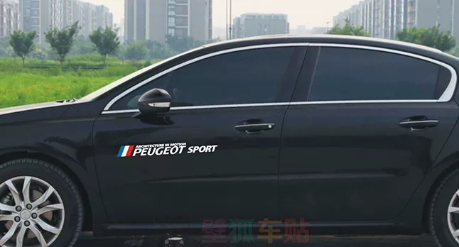 Peugeot 206 207 307 308 405 508 наклейки на автомобиль персонализированные наклейки на кузов с цветами и логотипом на дверь