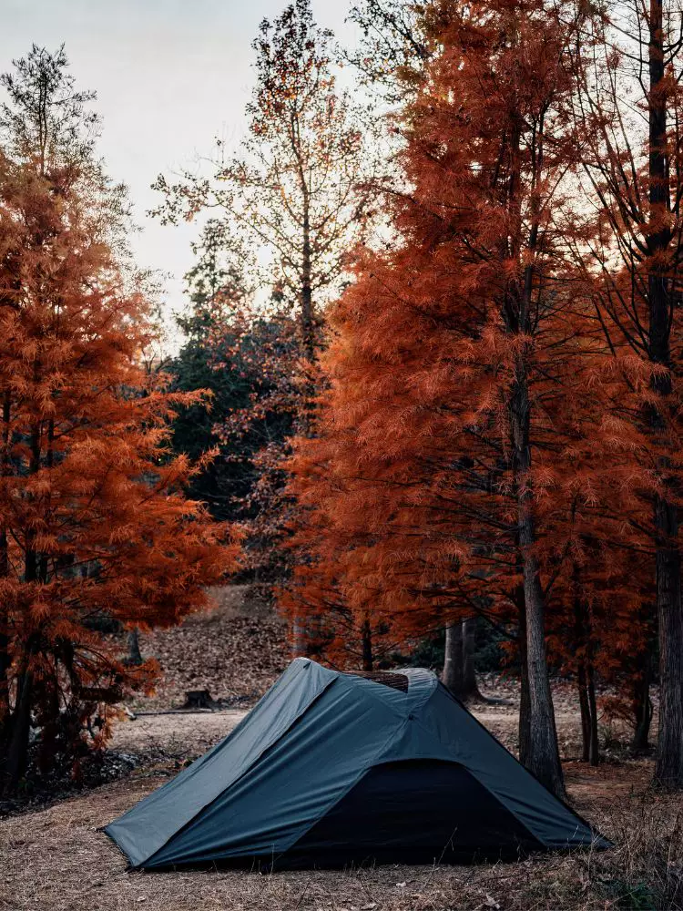 Springhill Chunshan Penglai Three -Pperson Account Exprocure Camp Camp Account в приюте для палатки в приюте для палатки