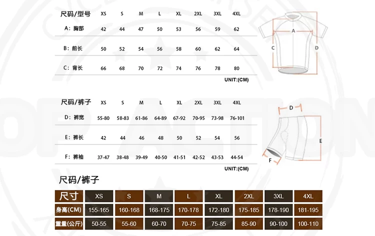 Ralvpha公路自行车夏季骑行服短袖牛奶丝面料舒适透气骑行套装