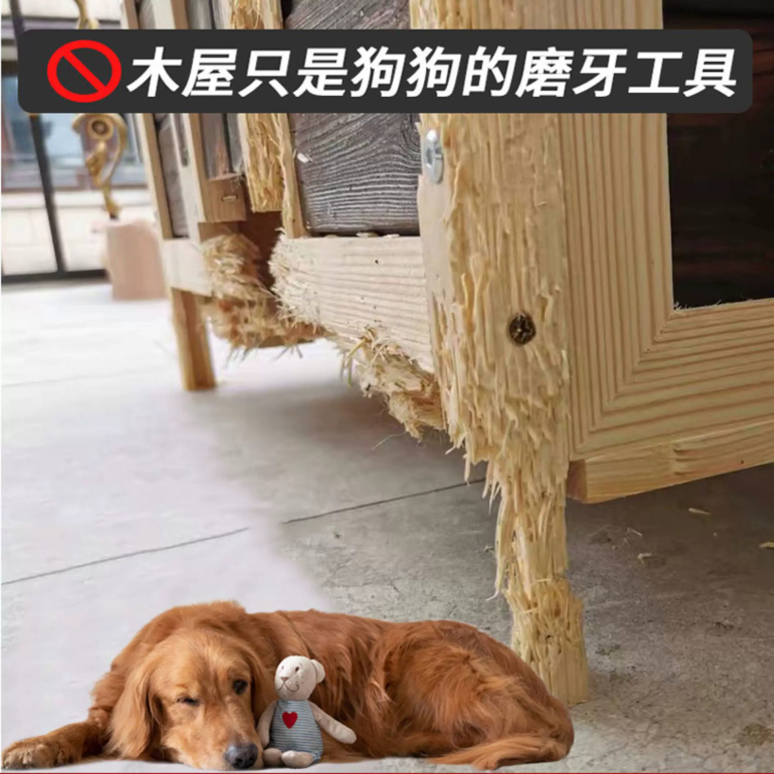 Уличный дом для собак Yongying Pet Industry с теплоизоляцией