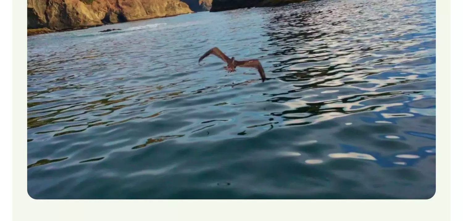 DJI Neo2 from DJI can fly and follow the shooting of filmmakers, sports, parent-child outdoor camping, travel, intelligent 4K follow-up shooting