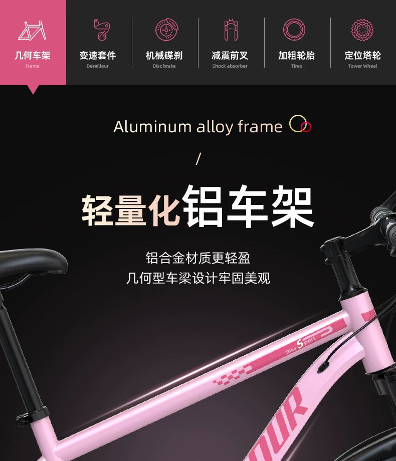 Mountaineering Bike Adult Female Variable Speed Youth Highway Campus Shock Absorber Bike 24 inch Male Junior High School Student