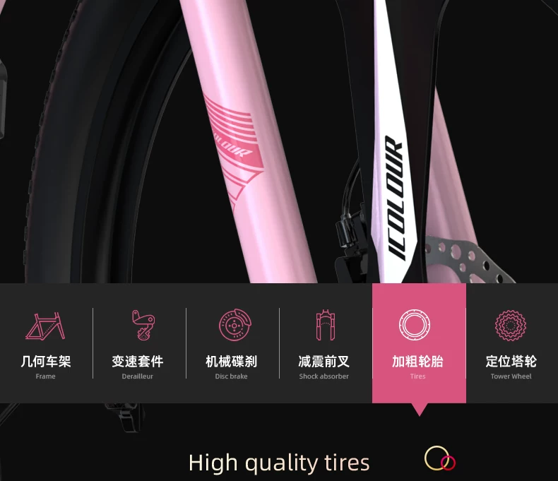 Mountaineering Bike Adult Female Variable Speed Youth Highway Campus Shock Absorber Bike 24 inch Male Junior High School Student