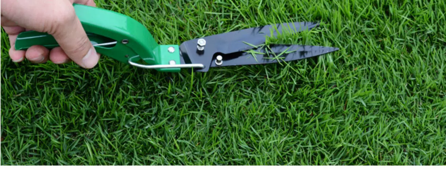 Home gardening flower planting tool set stainless steel flower shovel, rake shovel, flower and vegetable cultivation tool, potted plant, soil loosening small shovel