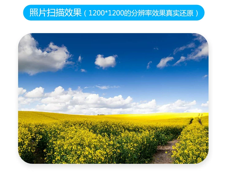 爱普生扫瞄仪高清专业办公双面自动快速连续扫瞄彩色A4文件扫瞄机