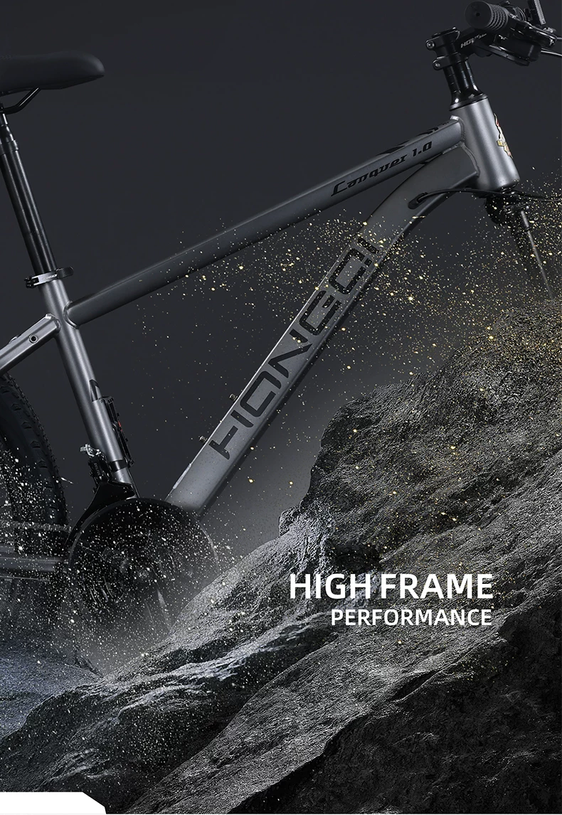 Red Flag Official Flagship Store Mountain Bike Male and Female Adult Off road Variable Speed Highway Purple Tire Youth Bike