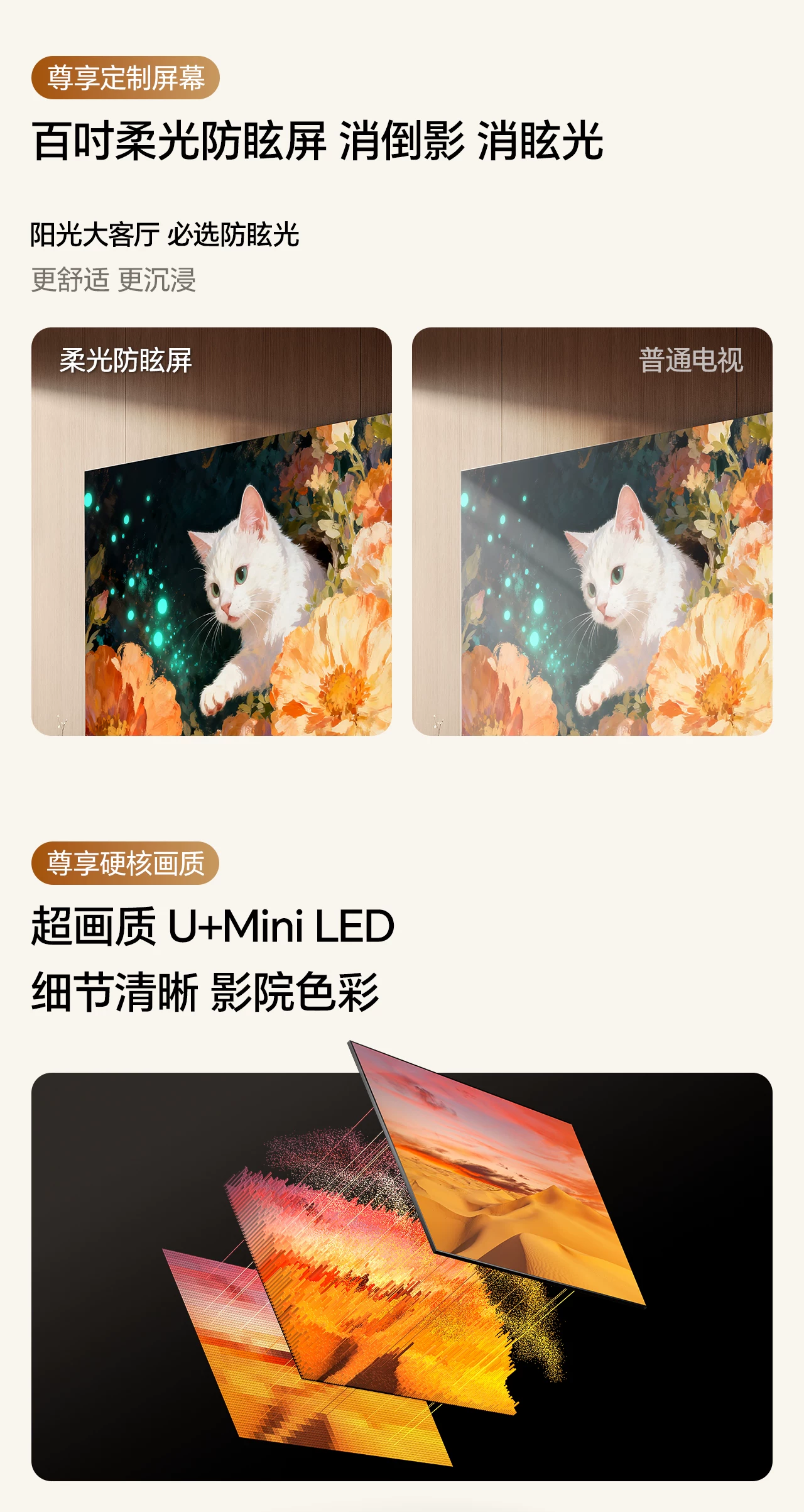 Телевизор MiniLED Hisense E52Q 100