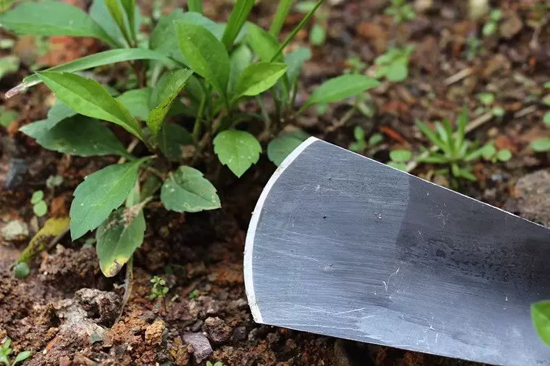 Planting flowers and vegetables with a small shovel, digging wild vegetables with manganese steel, an outdoor digging tool, a gardening tool, a household vegetable specific shovel, used to drive the sea