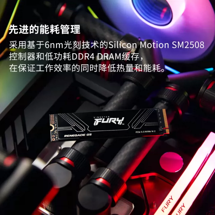 Официальный флагманский магазин Kingston SSD твердотельный накопитель Rebel Интерфейс M.2 (NVMe PCIe 5.0×4)