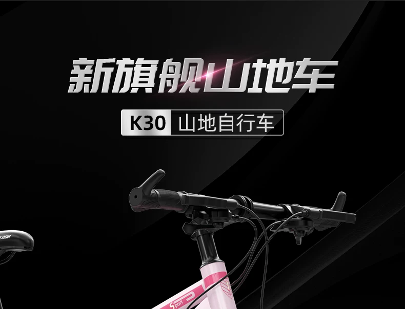 Mountaineering Bike Adult Female Variable Speed Youth Highway Campus Shock Absorber Bike 24 inch Male Junior High School Student
