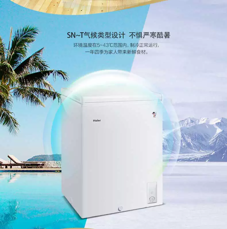 Морозильный ларь Haier BC/BD-100HBZ (100 л)