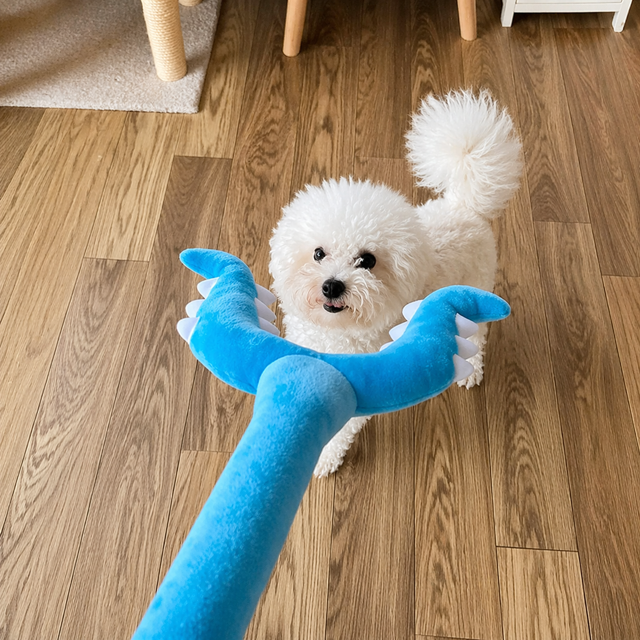 Игрушка-дразнилка для собак